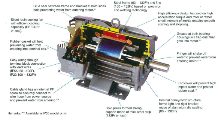 Motor Section
